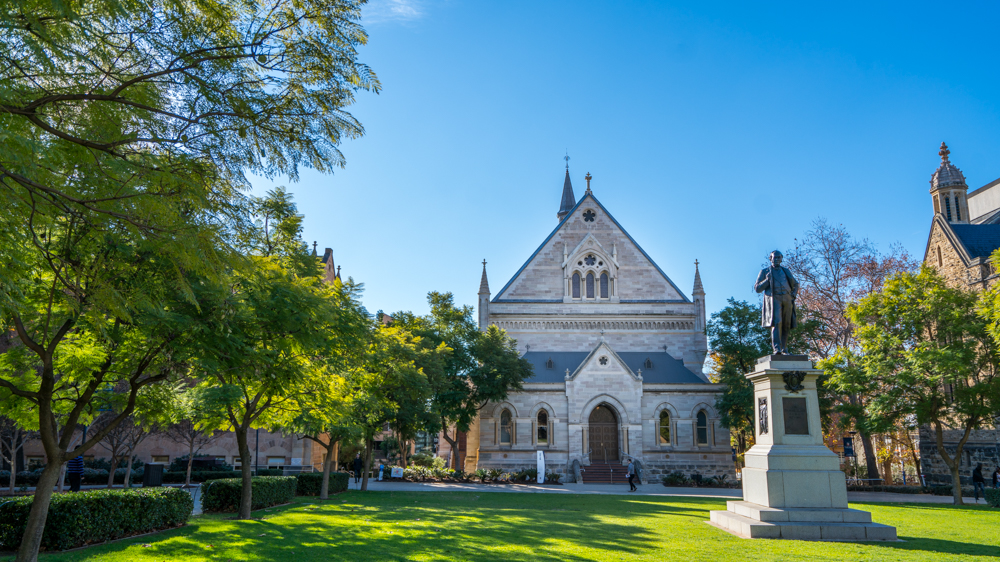 澳洲生蚝哪里最好,全球顶级生蚝多少钱一个