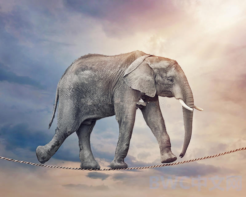 油管评论莫迪印度成为第三经济体,外媒对莫迪改革的评价