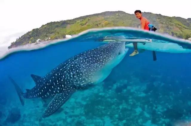 最值得去的4个海岛 (十大绝美海岛旅游攻略)