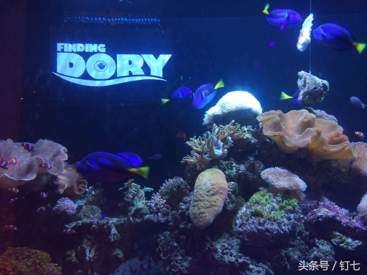 夏天与海绝配,夏天与海洋更配的图片