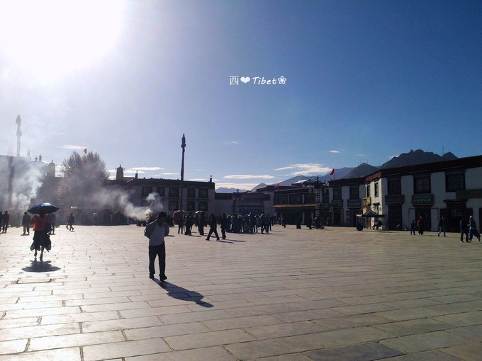 奥古斯都,August的格桑花秘境：我养你！带你去*藏西**啊！