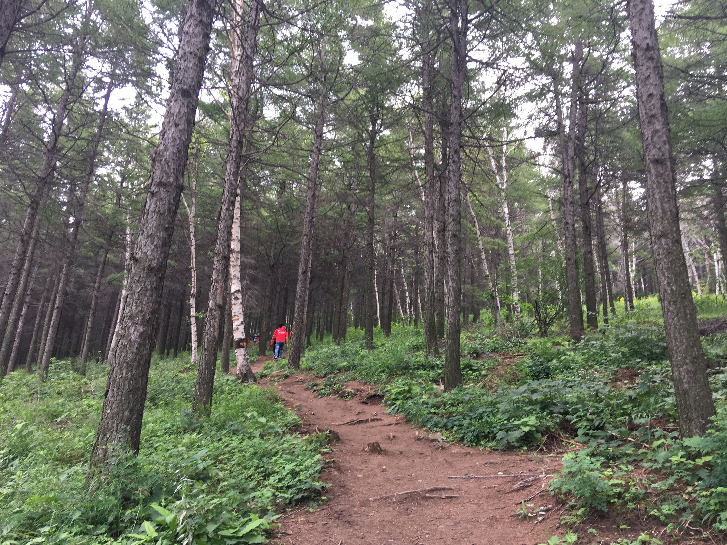 自驾滦平，一个青山环抱空气清新的清凉之地，现在没人速来