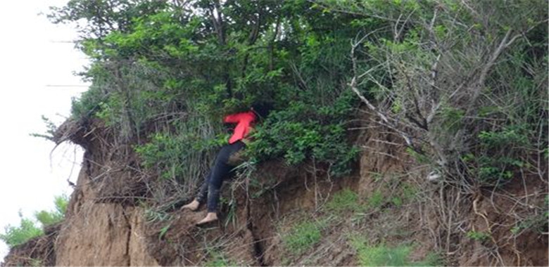 半夜失枣老人追贼追到土地庙发现竟是一堆土偶嘿嘿产生一段奇缘