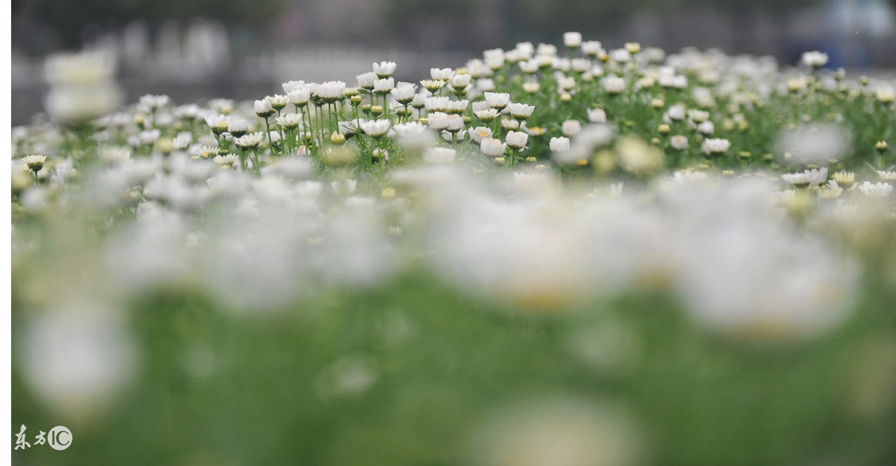 搬家吉日2017年农历8月搬家吉日,搬家吉日2020年8月搬家吉日查询
