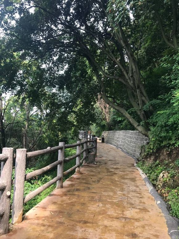 少华山旅行,游少华山攻略