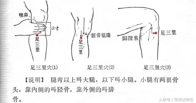 针灸的扶正和祛邪,针灸解表手法