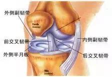 膝关节内侧副韧带损伤如何治疗,膝关节内侧副韧带损伤如何恢复