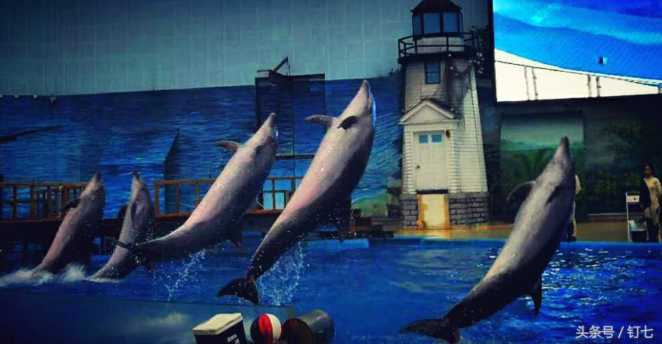 夏天与海绝配,夏天与海洋更配的图片