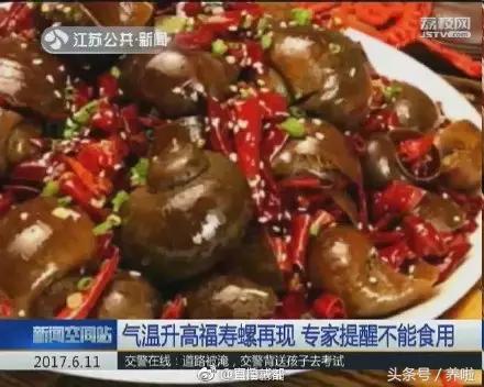 女子吃了福寿螺,吃田螺误吃福寿螺