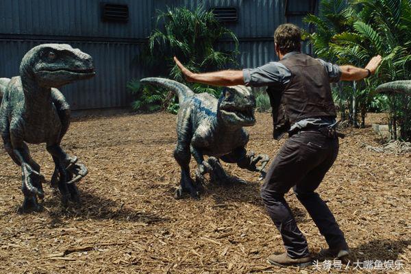 中国电影票房排行榜实时票房最新,全球电影票房排行榜阿凡达