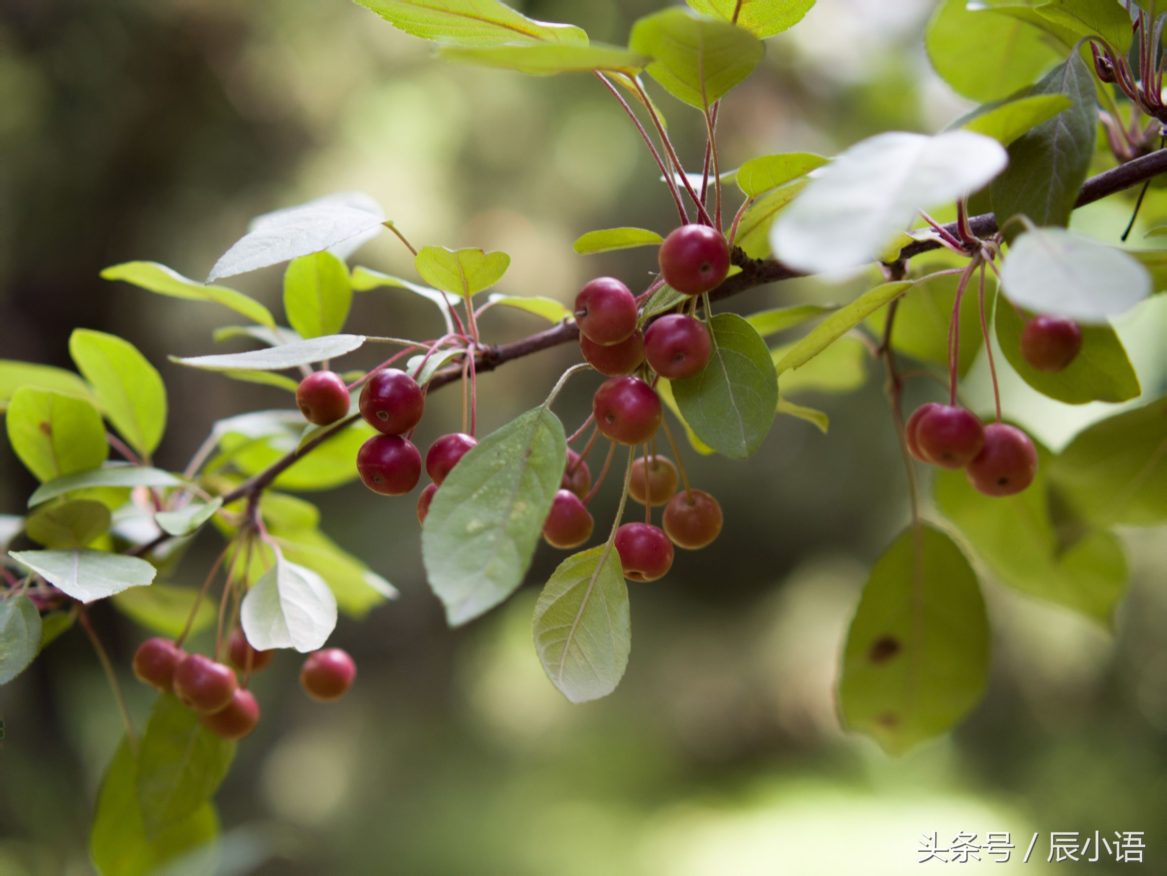 小蚁微单相当于什么相机,小蚁微单深度评测