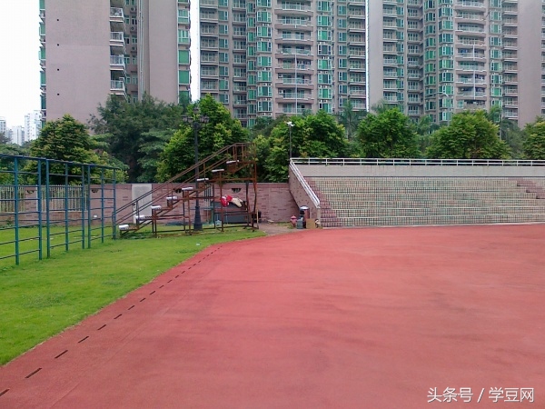 学豆观察︱在深圳高级中学读书是怎样的体验？