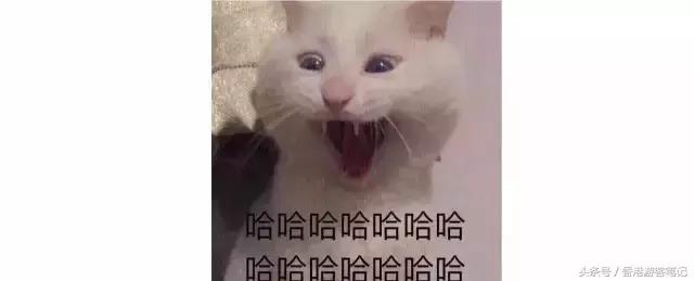 卸妆测评贝德玛,卸妆水排名第一名贝德玛好用吗