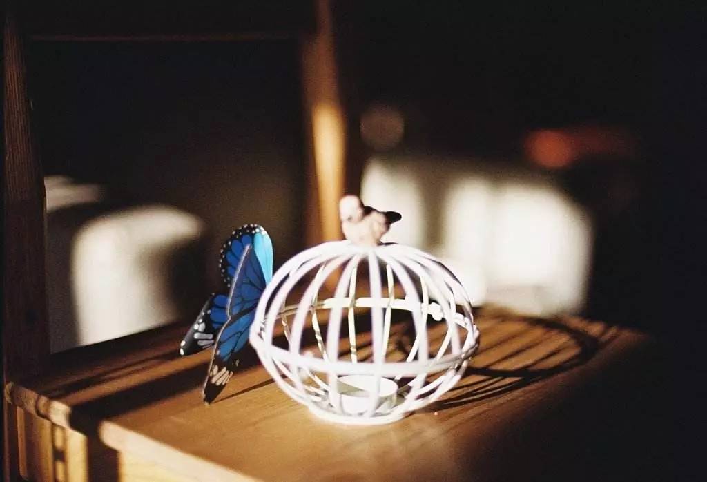 我再也不会问你在干嘛了,再也不会问你在干嘛