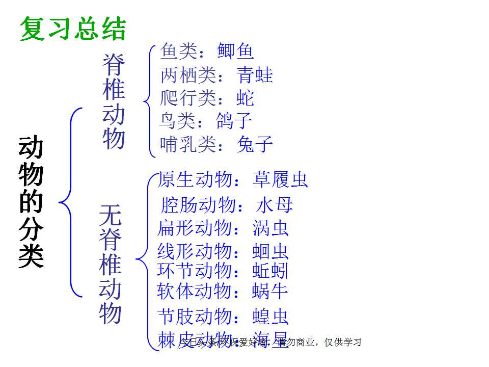 认识植物从身边开始,认识植物的根茎叶各个部分