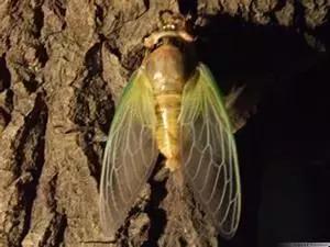 看了下手边的厕纸，我流下了感激的泪水