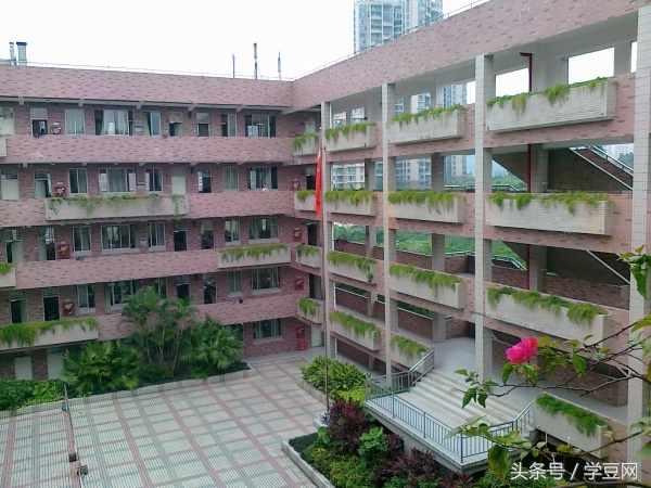 学豆观察︱在深圳高级中学读书是怎样的体验？