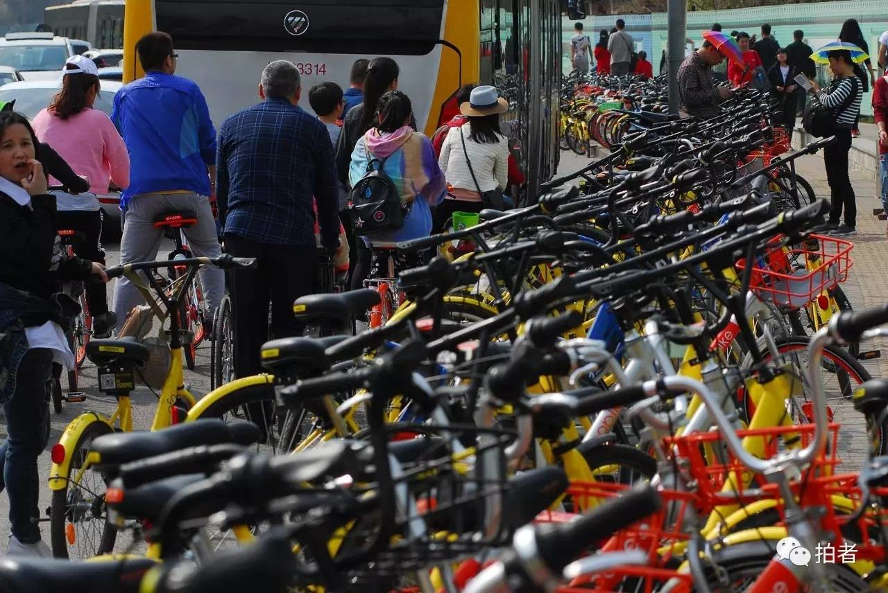 共享单车再生变：多地叫停投放，小公司生存前景堪忧