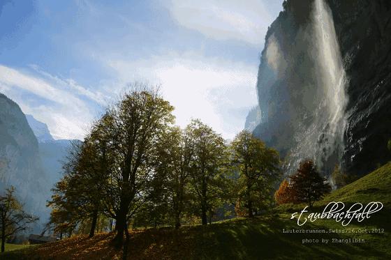 他们是如何在朋友圈发动图的？这个APP神器火遍全球