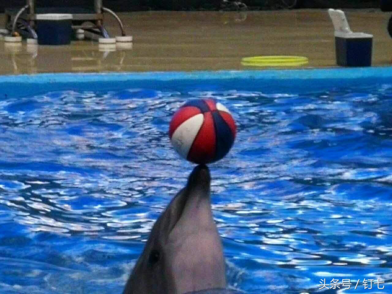 夏天与海绝配,夏天与海洋更配的图片