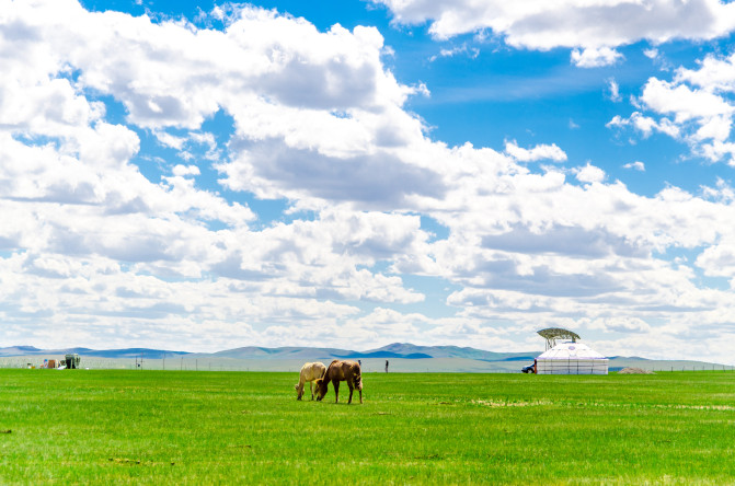 天堂草原锡林郭勒歌词及对白,真正的内蒙古锡林郭勒大草原