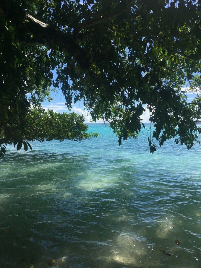 一起去帕劳旅游,去帕劳旅游自由行攻略