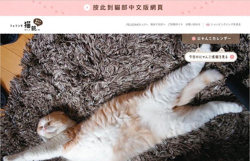 不要说我孤独,我还有猫