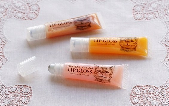 不要说我孤独,我还有猫