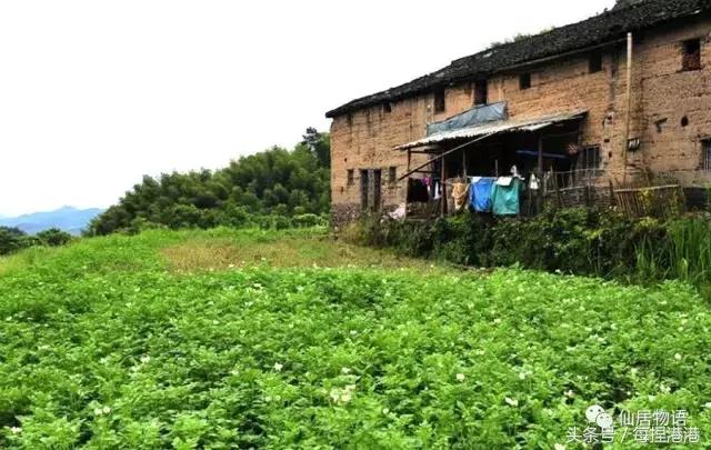 台州的公盂村,浙江省仙居县田市镇公盂村