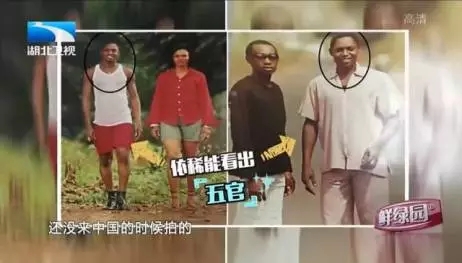 哈喽!非洲人民喊你来避暑!