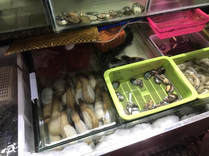 带着老妈和宝贝游三亚（两家铂尔曼和亚龙湾红树林度假之旅）