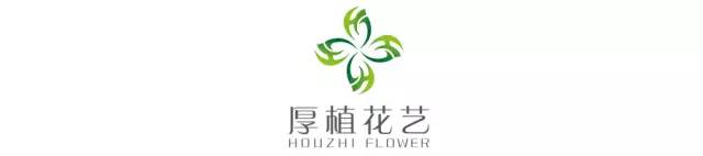 艺术花艺客厅,商业空间花艺设计图