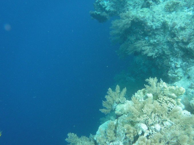 一起去帕劳旅游,去帕劳旅游自由行攻略