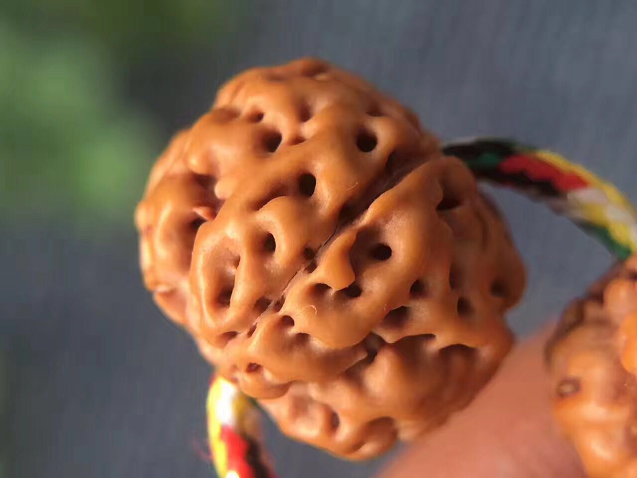 什么样的小金刚菩提最好,菩提小金刚介绍