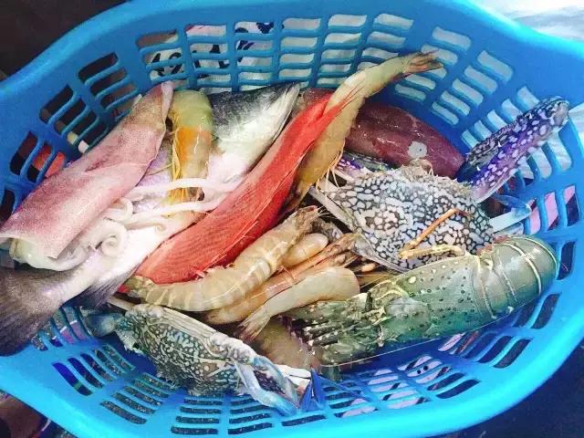 各种奇葩旅行经历,苏梅岛旅行游记