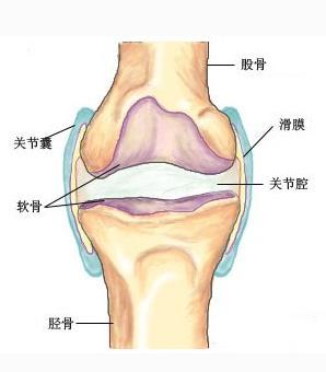 膝盖滑膜炎5天自愈方法,小儿膝盖滑膜炎一般多久能自愈