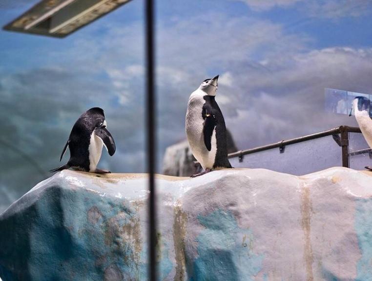 十月一出游去哪里好玩,国庆节8天长假哪里旅游好玩