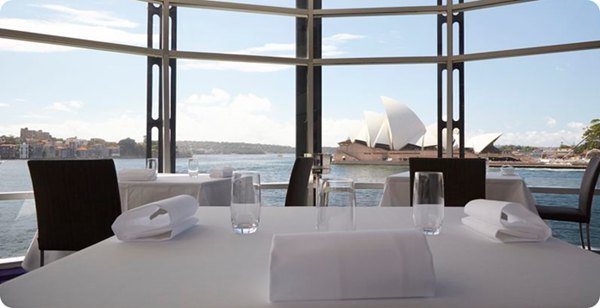 澳大利亚鲍鱼新西兰鲍鱼,澳大利亚顶级鲍鱼