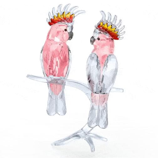 怎么防止施华洛世奇掉漆,施华洛世奇怎么能不掉钻