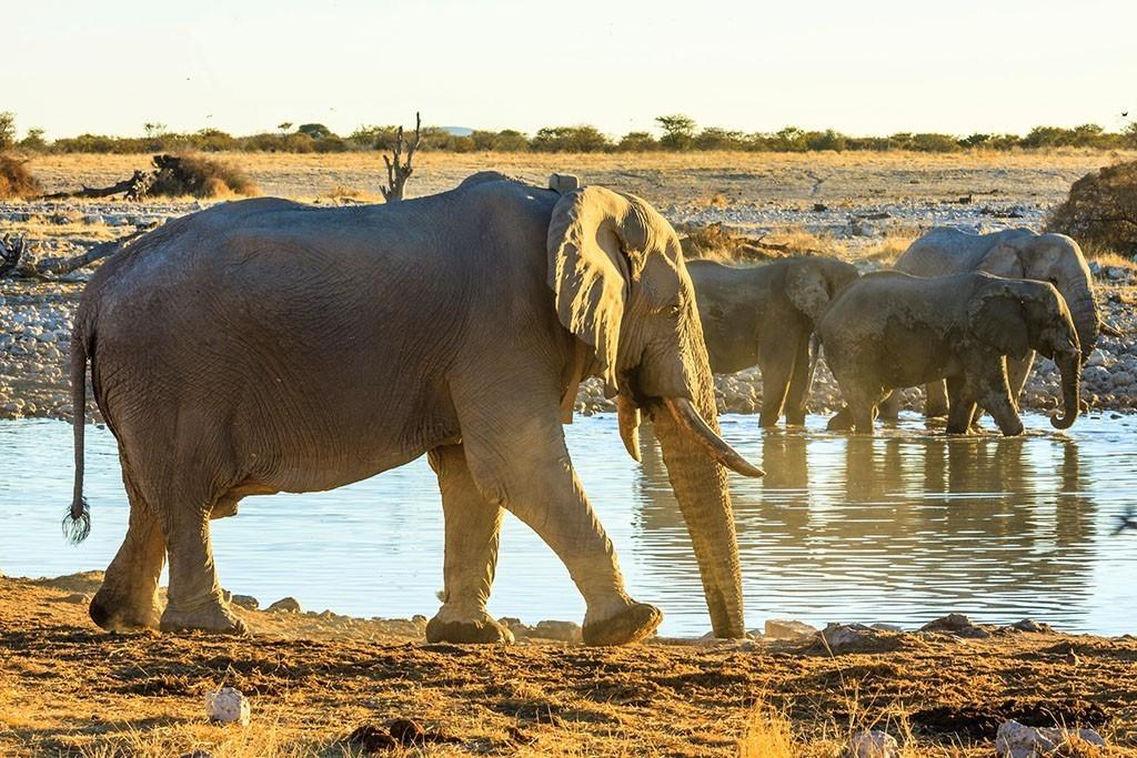 来到纳米比亚，你会知道什么才是非洲应有的样子！