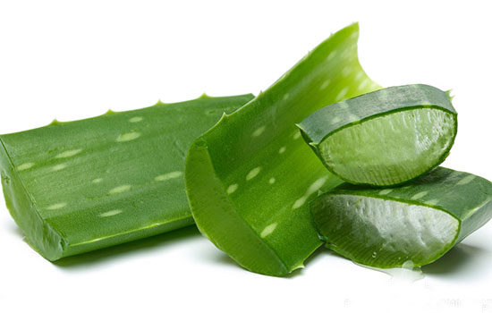 芦荟胶怎样使用正确呢,芦荟胶怎么使用才是正确的