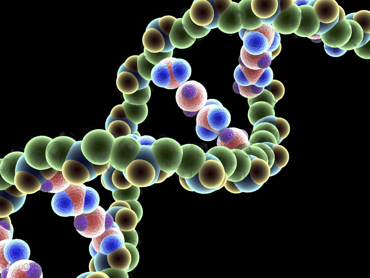 美国治疗脱发最新的研究,美国研究斑秃特效药