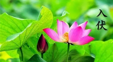 拿生姜泡脚一个月的变化,用生姜泡脚半个月有什么惊喜