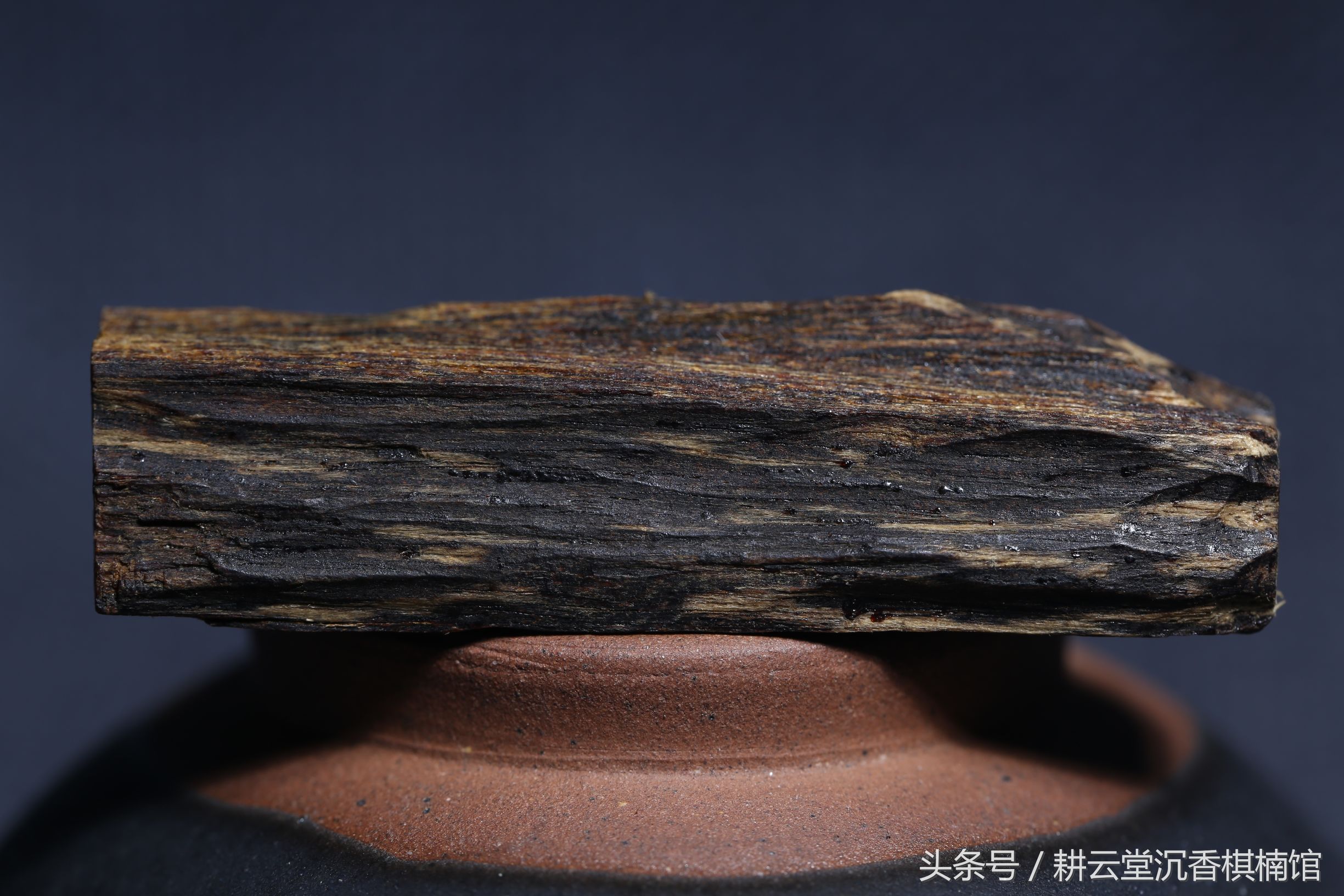 瓒婂崡娌夐璁茶В瑙嗛,瓒婂崡娌夐鎵嬩覆