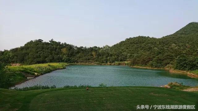 怎么形容高尔夫打得好专业术语,高尔夫英语专业术语