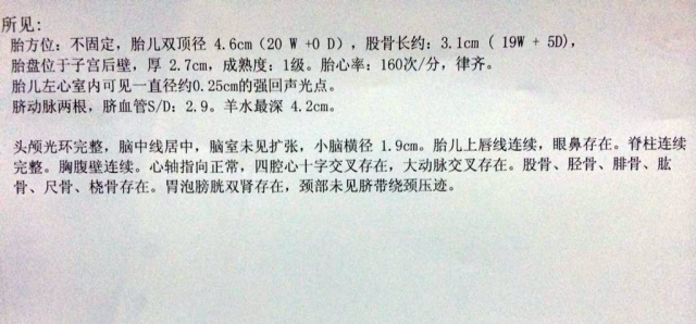 胎儿心脏b超有强光点,为啥胎儿心脏会出现强光点