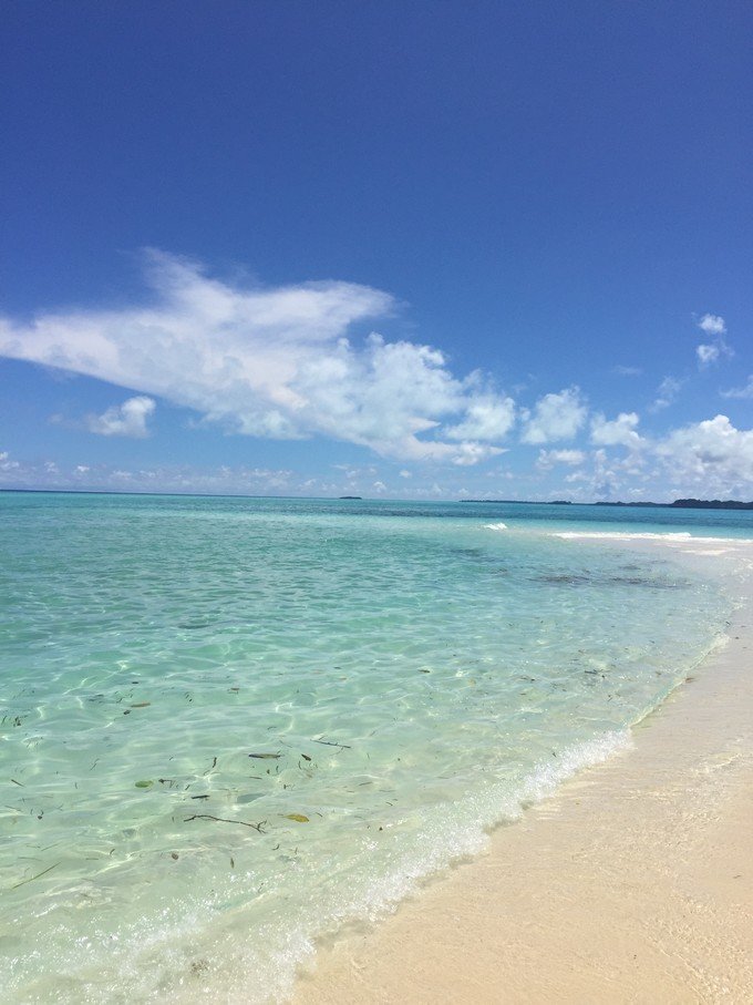 一起去帕劳旅游,去帕劳旅游自由行攻略
