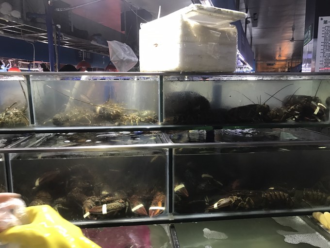 带着老妈和宝贝游三亚（两家铂尔曼和亚龙湾红树林度假之旅）