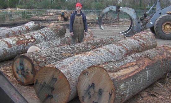 白橡木和红橡木的区别是什么,橡木木纹鉴别