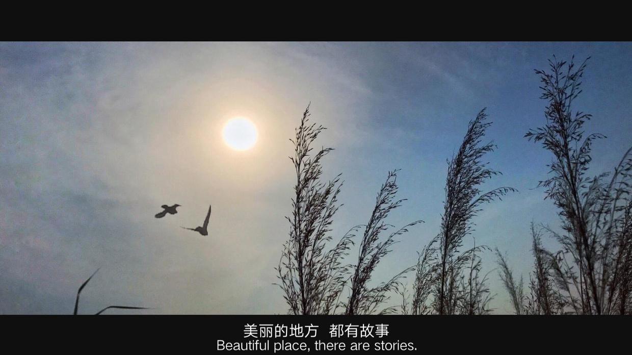 想给照片加个印章水印怎么做,如何给照片上面加印章